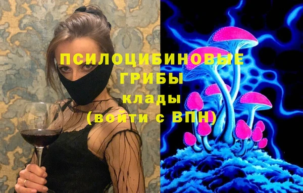 COCAINE Бородино