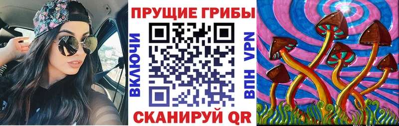 что такое наркотик  Каргат  Галлюциногенные грибы мухоморы 